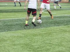 辽宁男篮力,克福建男篮,终结连败征,世界杯买球,2026世界杯,彩票投注,体育博彩,比赛分析