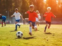 卸重担心态,南野展望世,界杯新征程,世界杯买球,2026世界杯,彩票投注,体育博彩,比赛分析