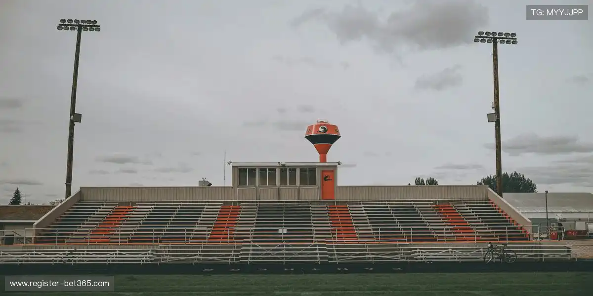 大乐透期号,专家推荐,质合分析前,世界杯买球,2026世界杯,彩票投注,体育博彩,比赛分析