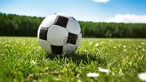 “曼城购入阿尔瓦雷斯转会费超哈兰德3000万英镑”